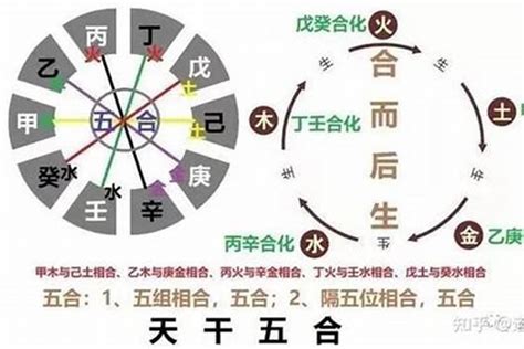 乙木八字|八字命理十天干详解之乙木